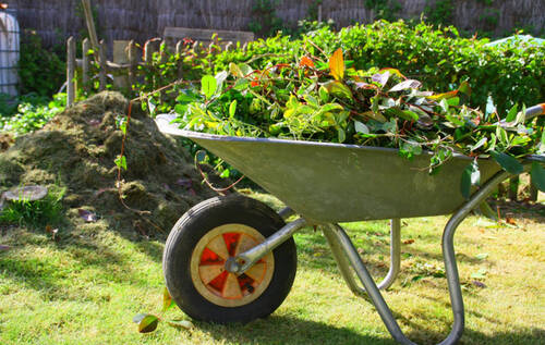 Ramassage des déchets verts et des branchages