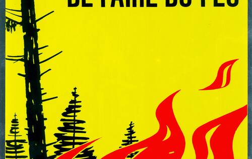 Interdiction de faire des feux en forêt