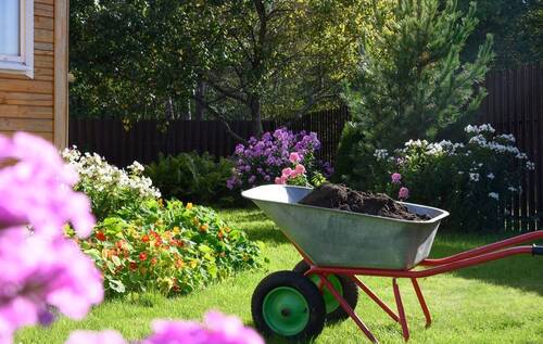 Des plantes locales bien armées pour l’avenir