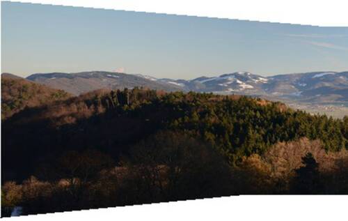 Description de l'image