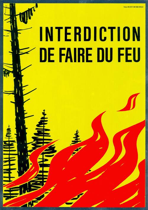Feu forêt